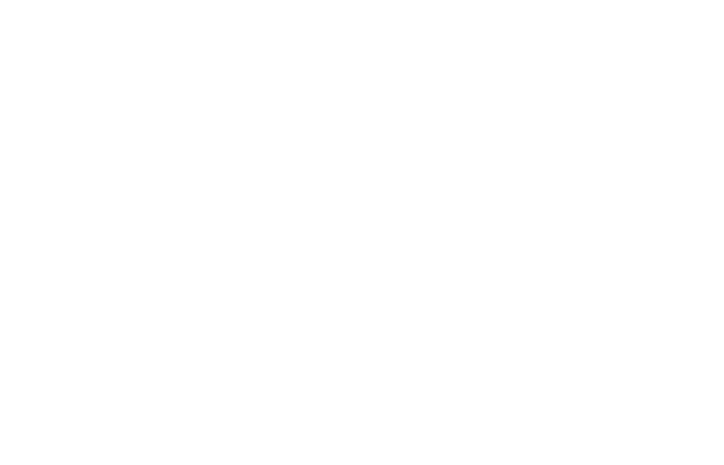 BEL-logo